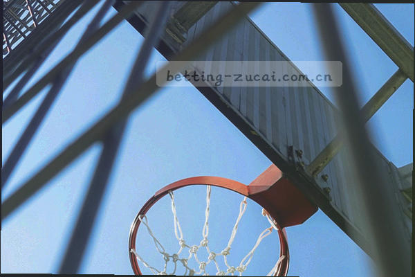 站内检索入口示意